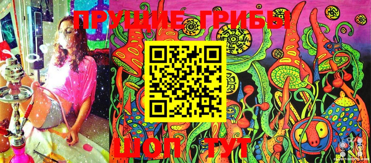 Рязань  Галлюциногенные грибы Cubensis  Вход с VPN 